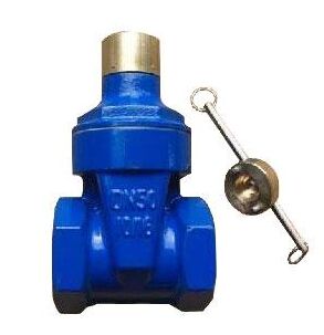 絲口防盜軟密封加密閘閥